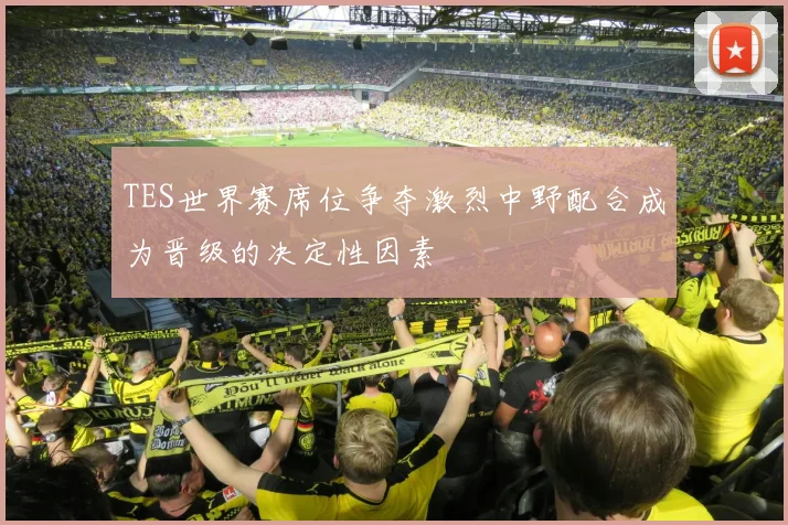 TES世界赛席位争夺激烈中野配合成为晋级的决定性因素