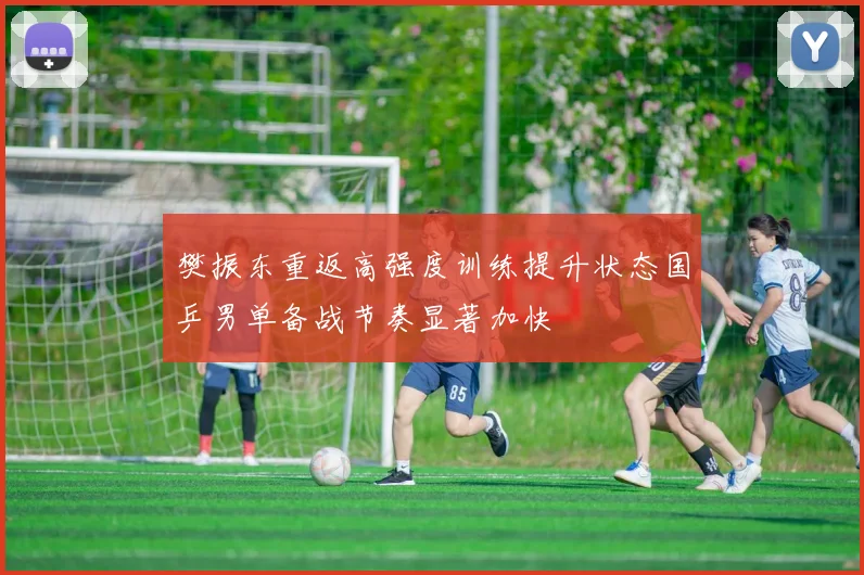 樊振东重返高强度训练提升状态国乒男单备战节奏显著加快